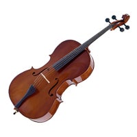 Palatino 1/2 Cello