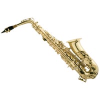 Ashton\J Micheal Alto Saxophone