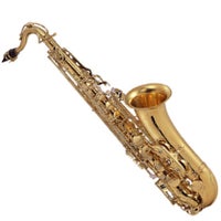 Palatino \ J Michael Tenor Saxophones