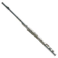 Ashton/J Michael Flute