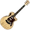 Acoustic-Electric Guitars