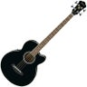 Acoustic Bass Guitars