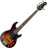 5-string Bass Guitars