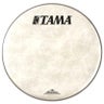 Bass Drum Heads