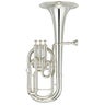 Tenor / Alto Horn