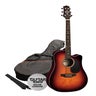 Acoustic-Electric Guitar Packages