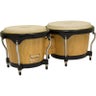 Bongo
