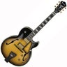 Hollowbody Electric Guitars