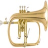 Flugel Horns