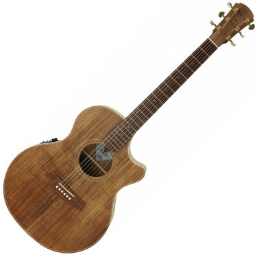 Cole Clark CCTL2EC BLBL Thinline Acoustic Electric Guitar - Blackwood