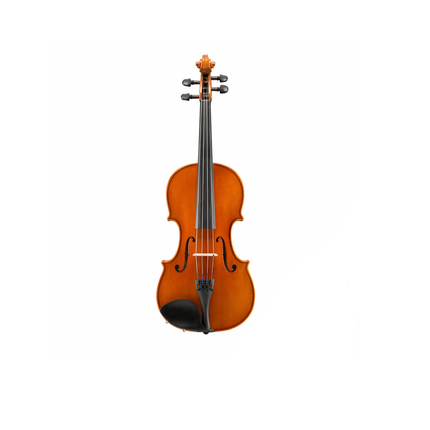 Amazon.com: Stentor, 4-String Viola-Acoustic (1505 14
