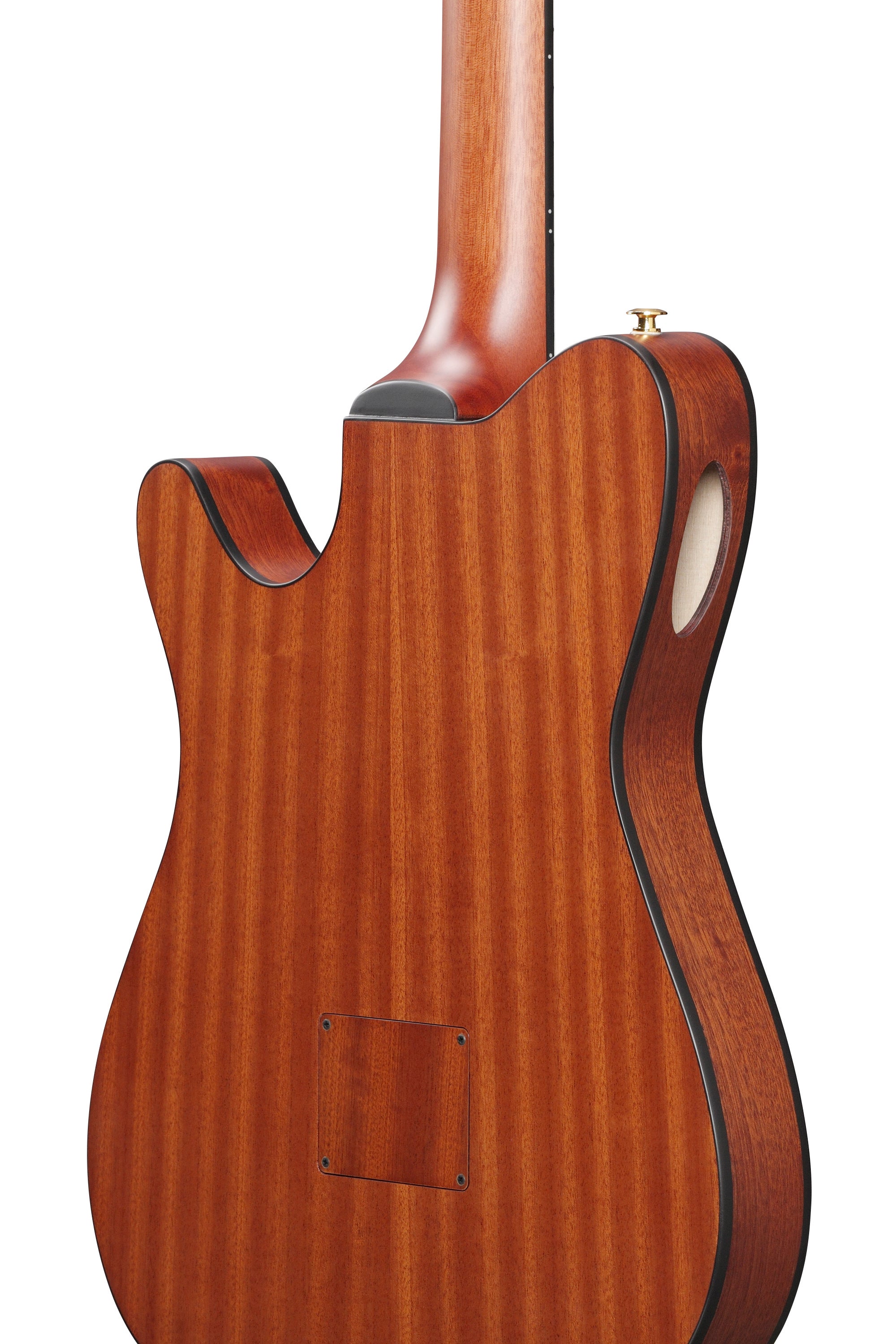 Ibanez FRH10N IBF Thinline 6-String Nylon Acoustic-Electric