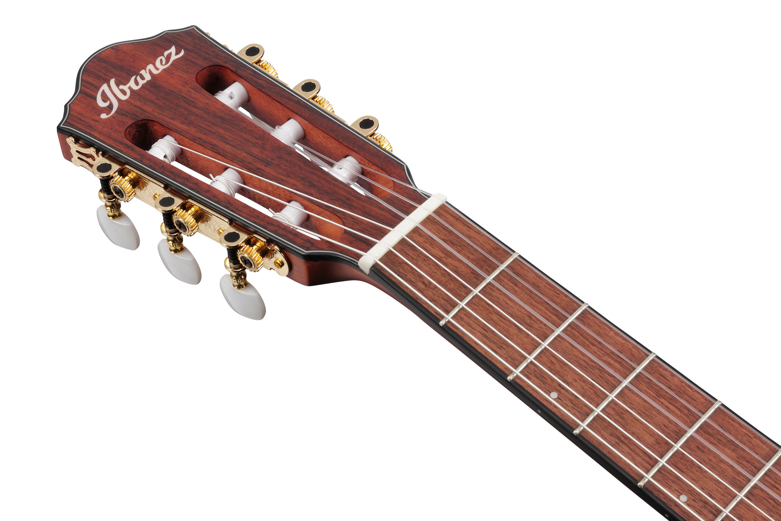 素敵でユニークな Ibanez Acoustic-Electric Nylon 6-String Thinline IBF FRH10N 化粧下地