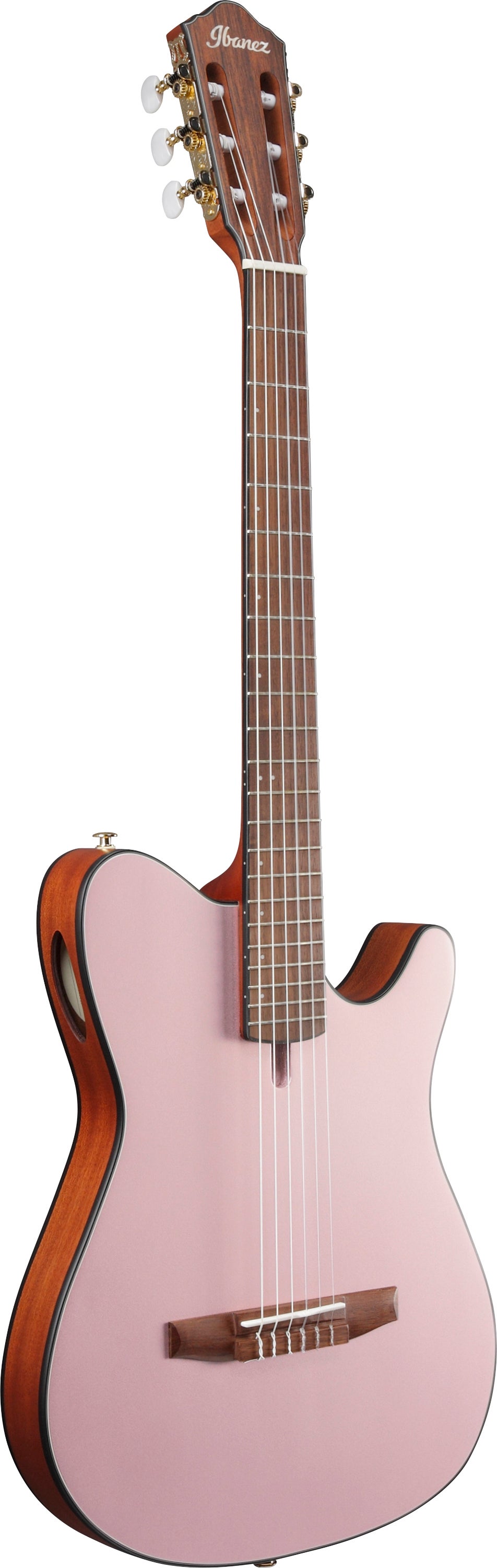 Ibanez FRH10N RGF Thinline 6-String Nylon Acoustic-Electric Guitar