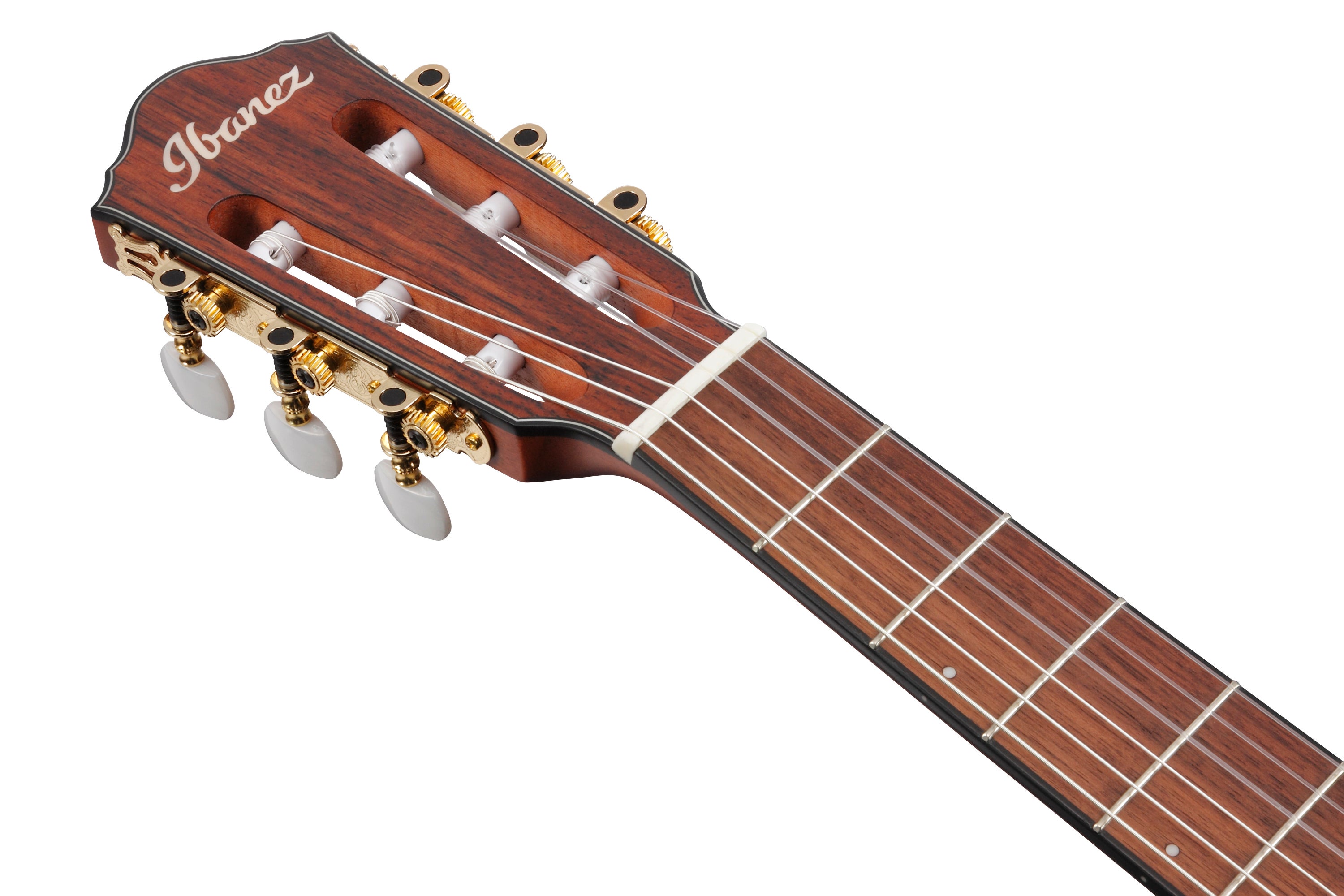 Ibanez エレガット FRH10N-IBF Ibanez FRH10N IBF Thinline 6-String Nylon Acoustic-Electric