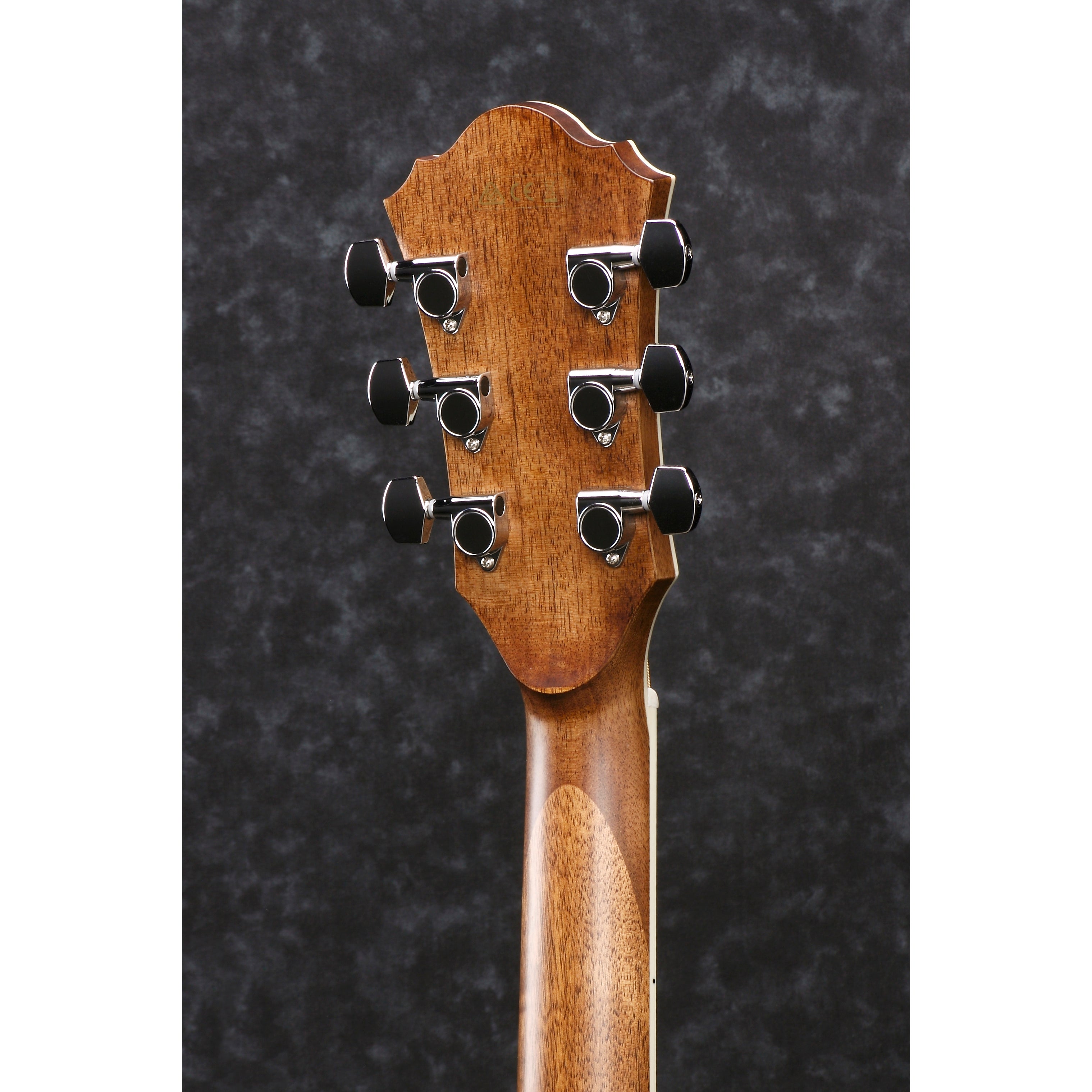 Ibanez AE245 NT High Gloss Solid Okoume top Cutaway Acoustic Electric Steel String Guitar with Wooden Vine Inlay