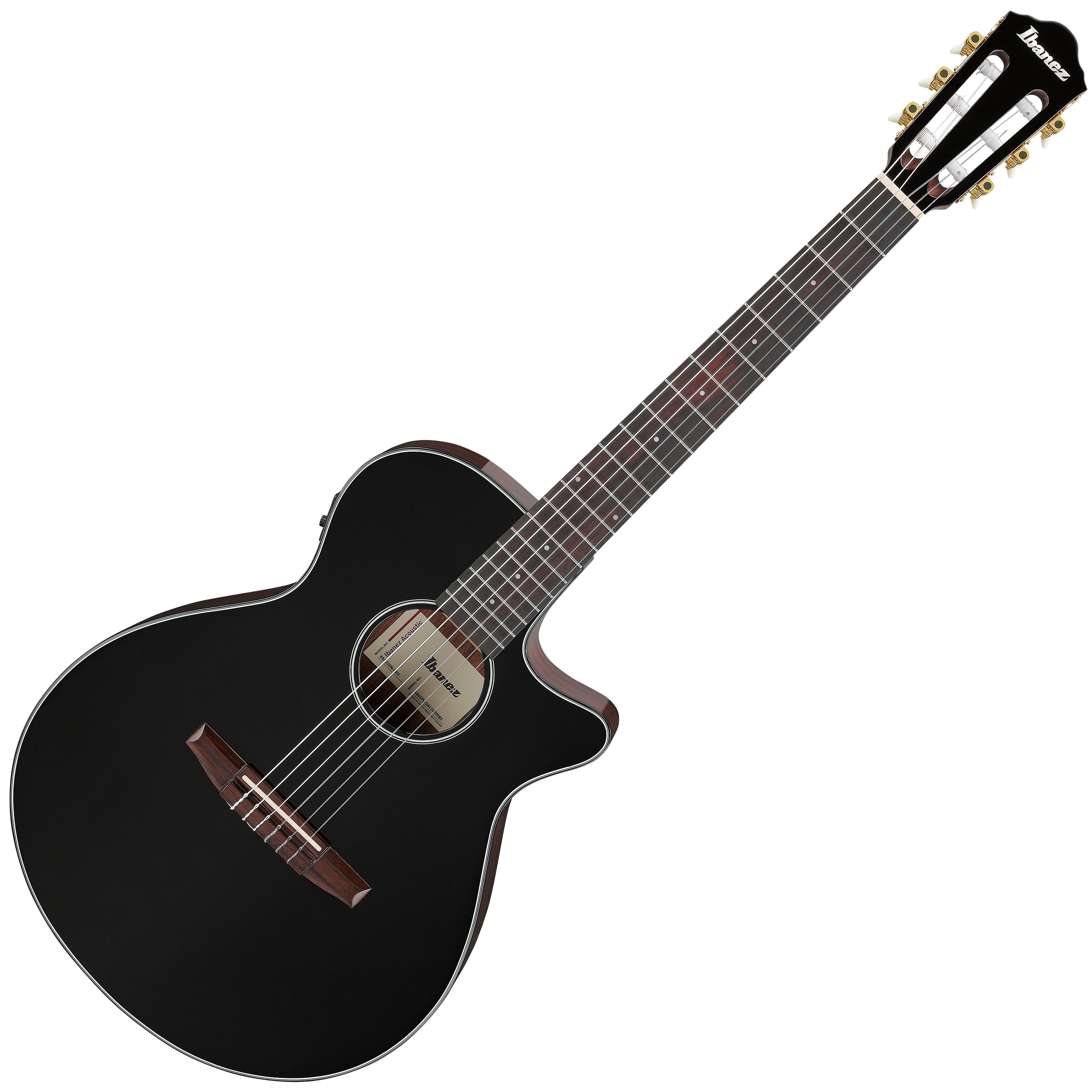 ibanez-aeg50n-nylon-string-