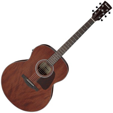 Ibanez AJ54E Artwood Jumbo Acoustic-Electric Guitar - Open Pore Natural