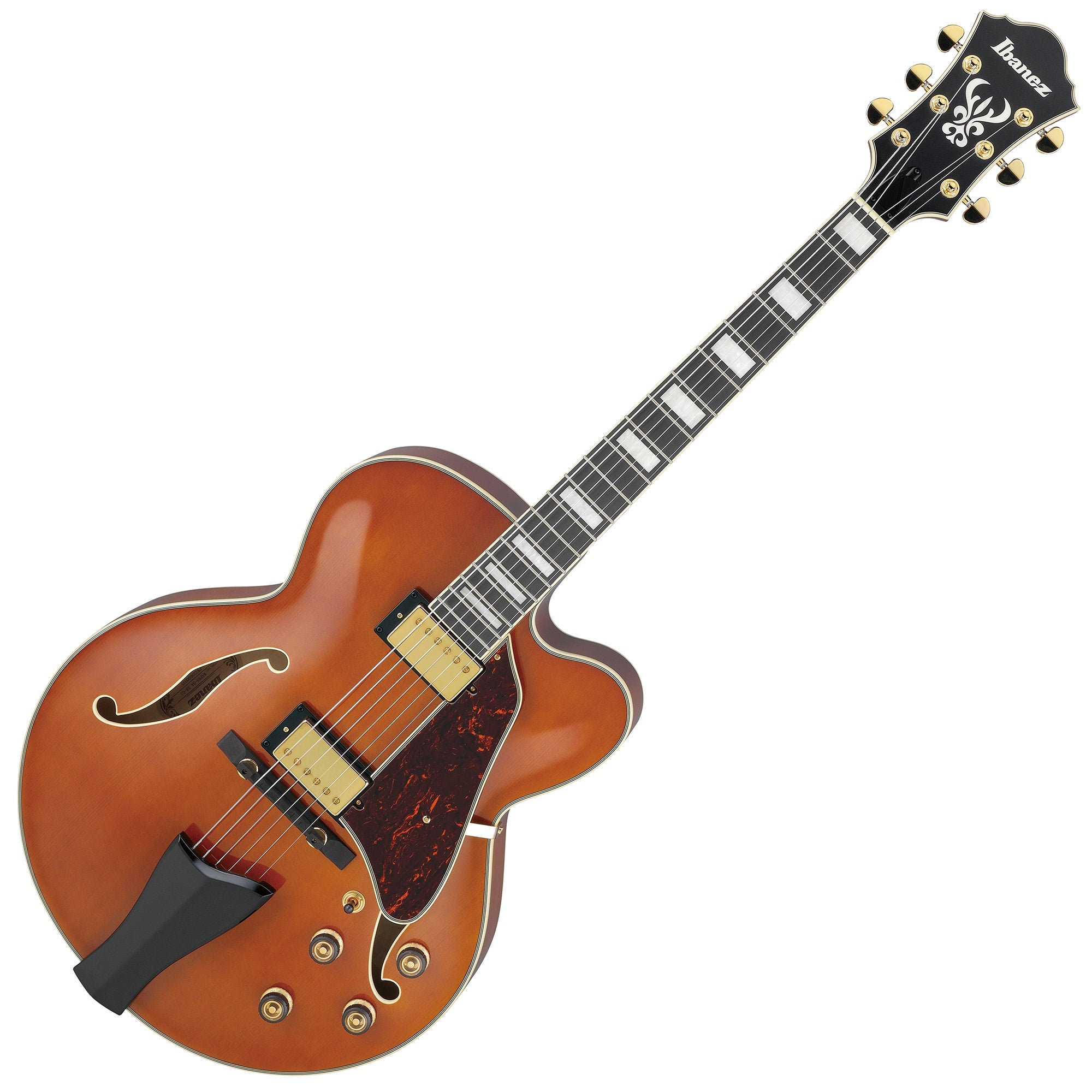 Ibanez Artcore Expressionist AF95 Hollowbody Electric Guitar