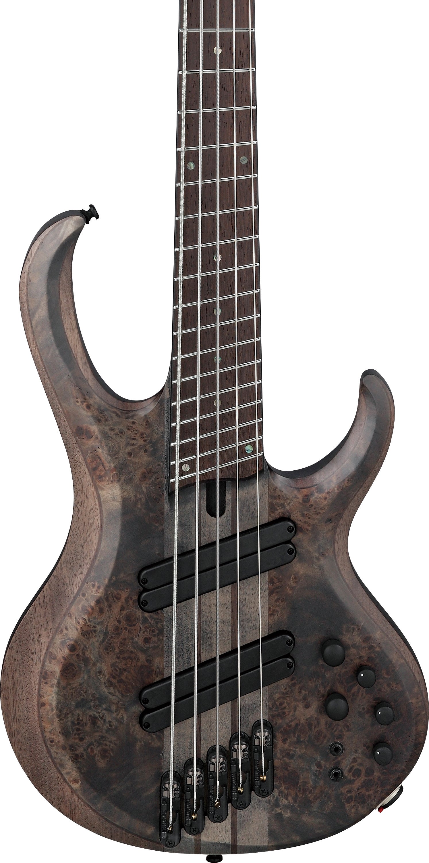 BASEMAN セット Ibanez Bass Workshop BTB805MS-TGF2024/01/13 イケベ楽器店