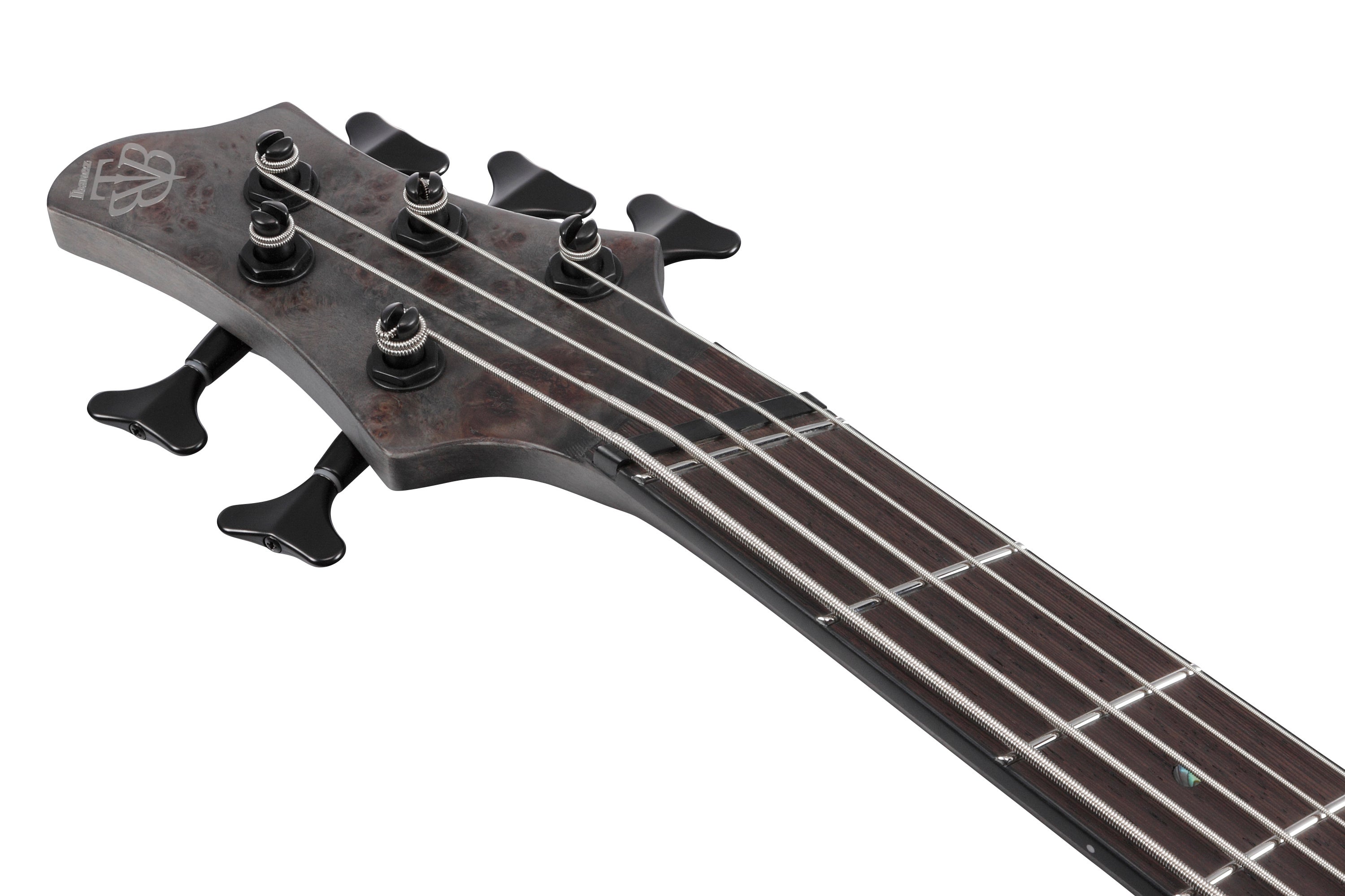 BTB805MS | BTB | ELECTRIC BASSES | PRODUCTS | Ibanez guitars