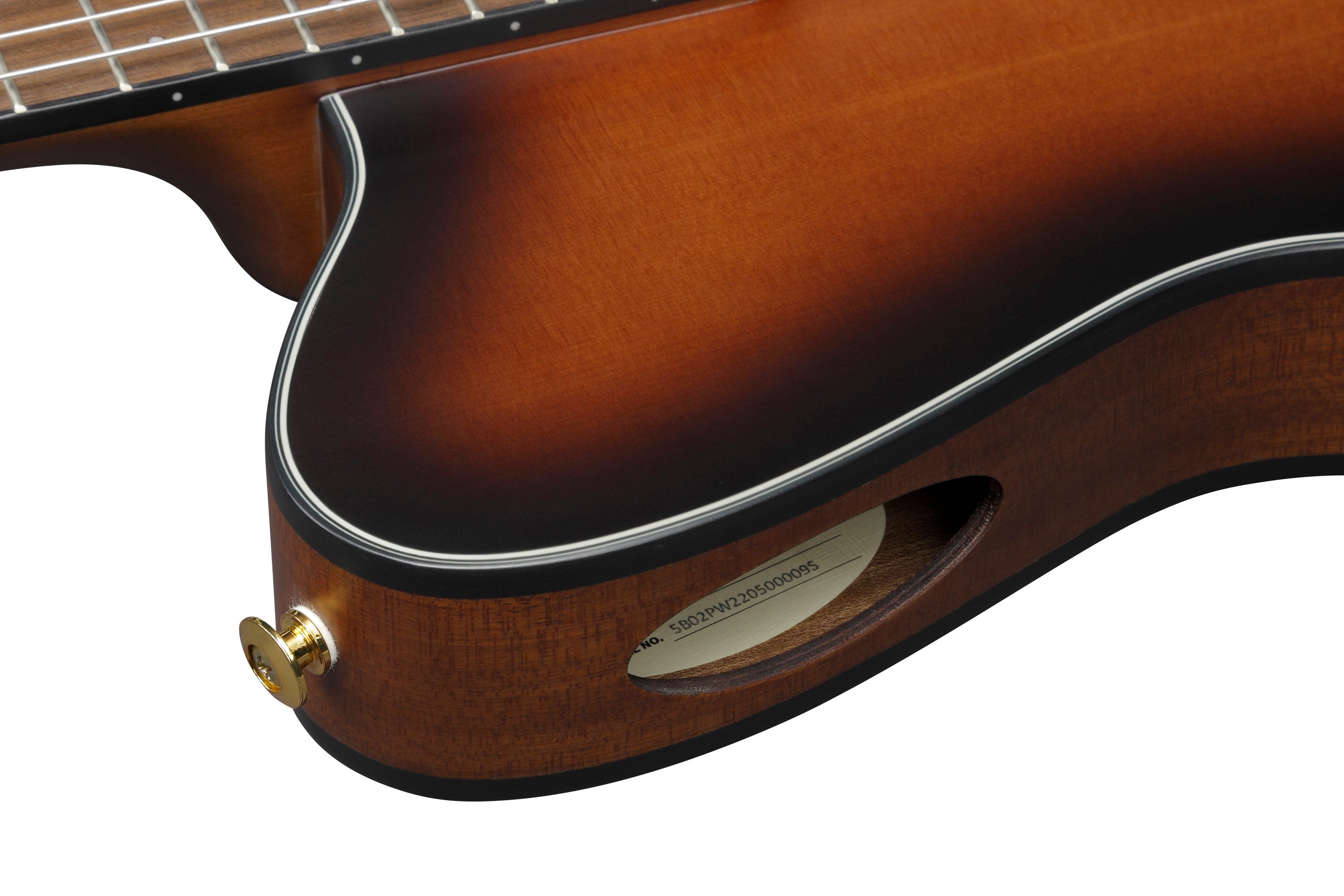 Ibanez FRH10N BSF Thinline 6-String Nylon Acoustic-Electric Guitar