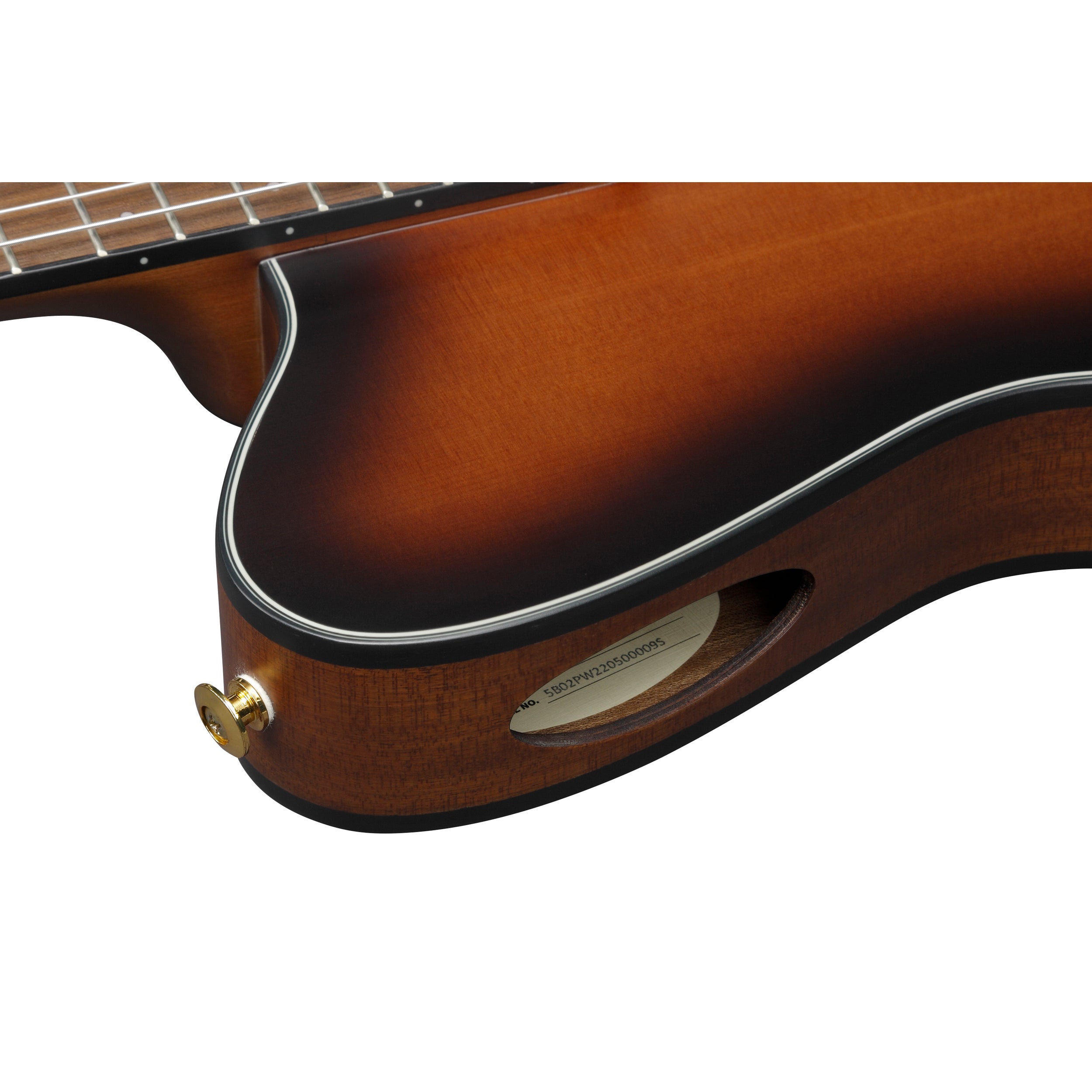Ibanez FRH10N BSF Thinline 6-String Nylon Acoustic-Electric Guitar 