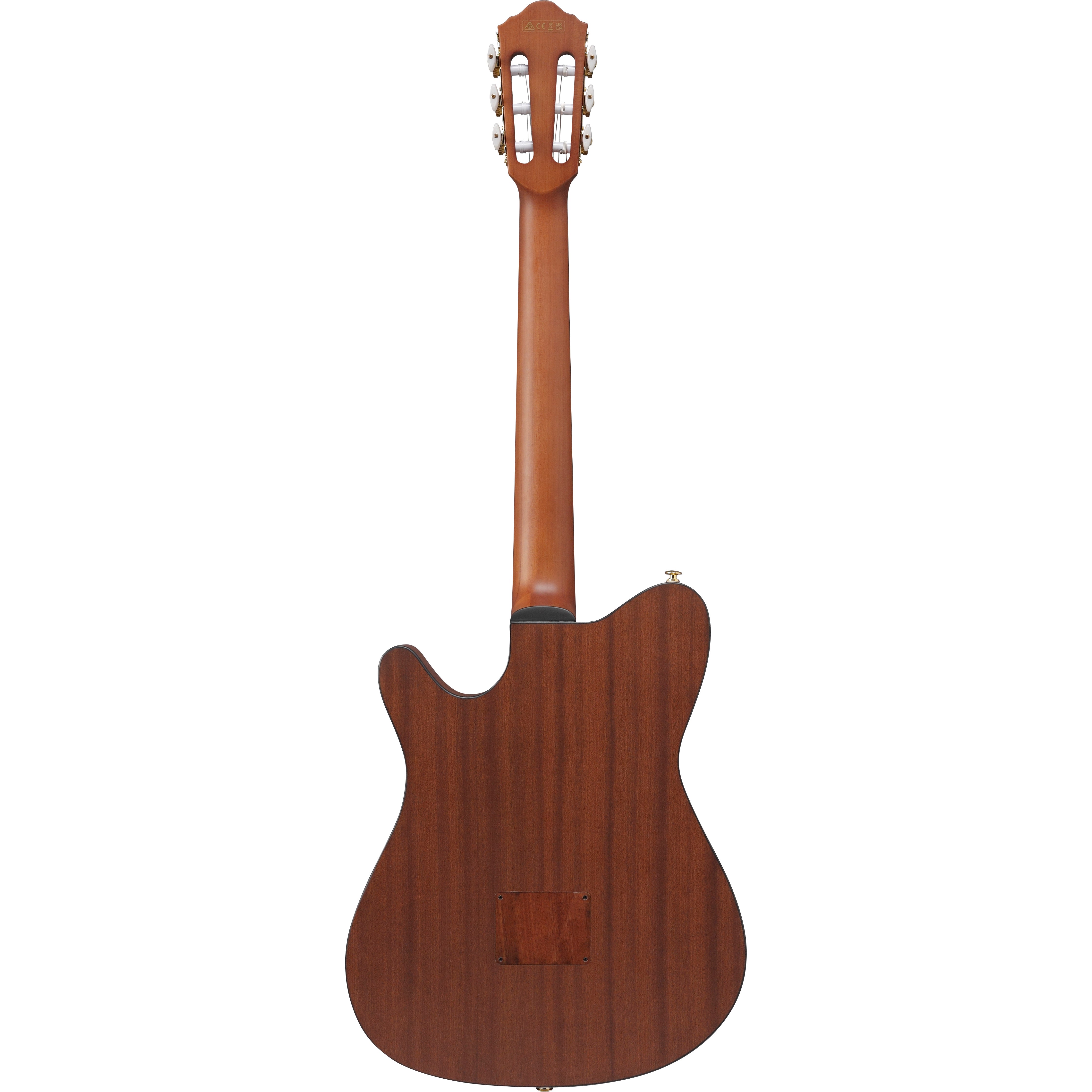 Ibanez FRH10N NTF Thinline 6-String Nylon Acoustic-Electric Guitar - Natural Flat