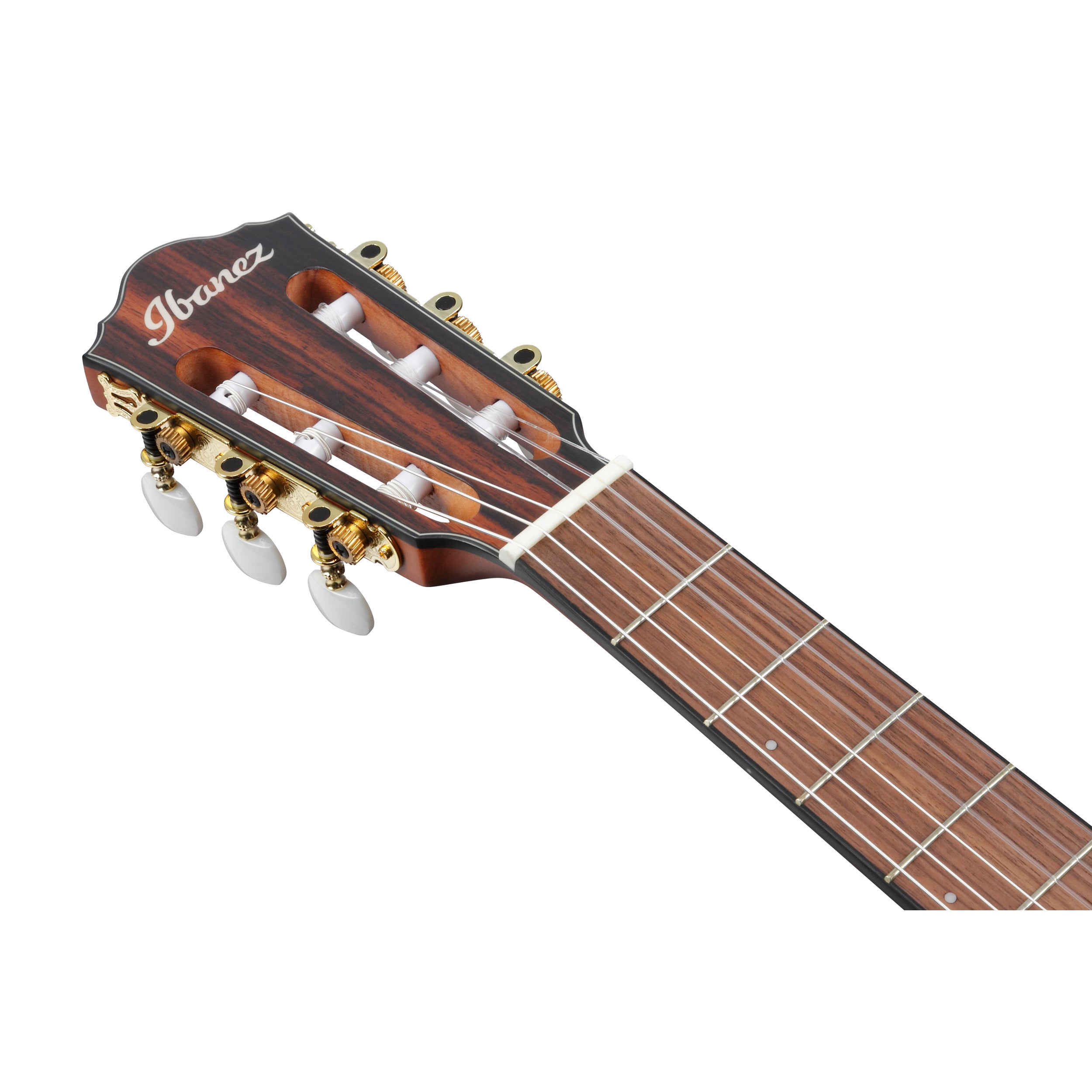 Ibanez FRH10N NTF Thinline 6-String Nylon Acoustic-Electric Guitar - Natural Flat