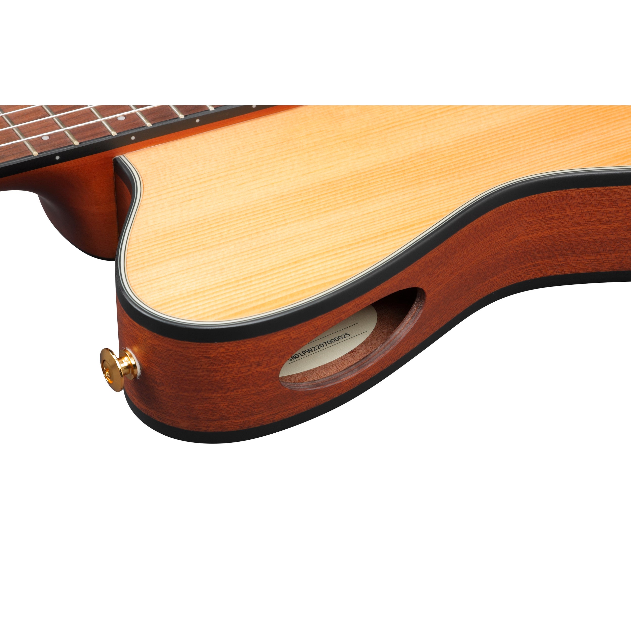 Ibanez FRH10N NTF Thinline 6-String Nylon Acoustic-Electric Guitar - Natural Flat