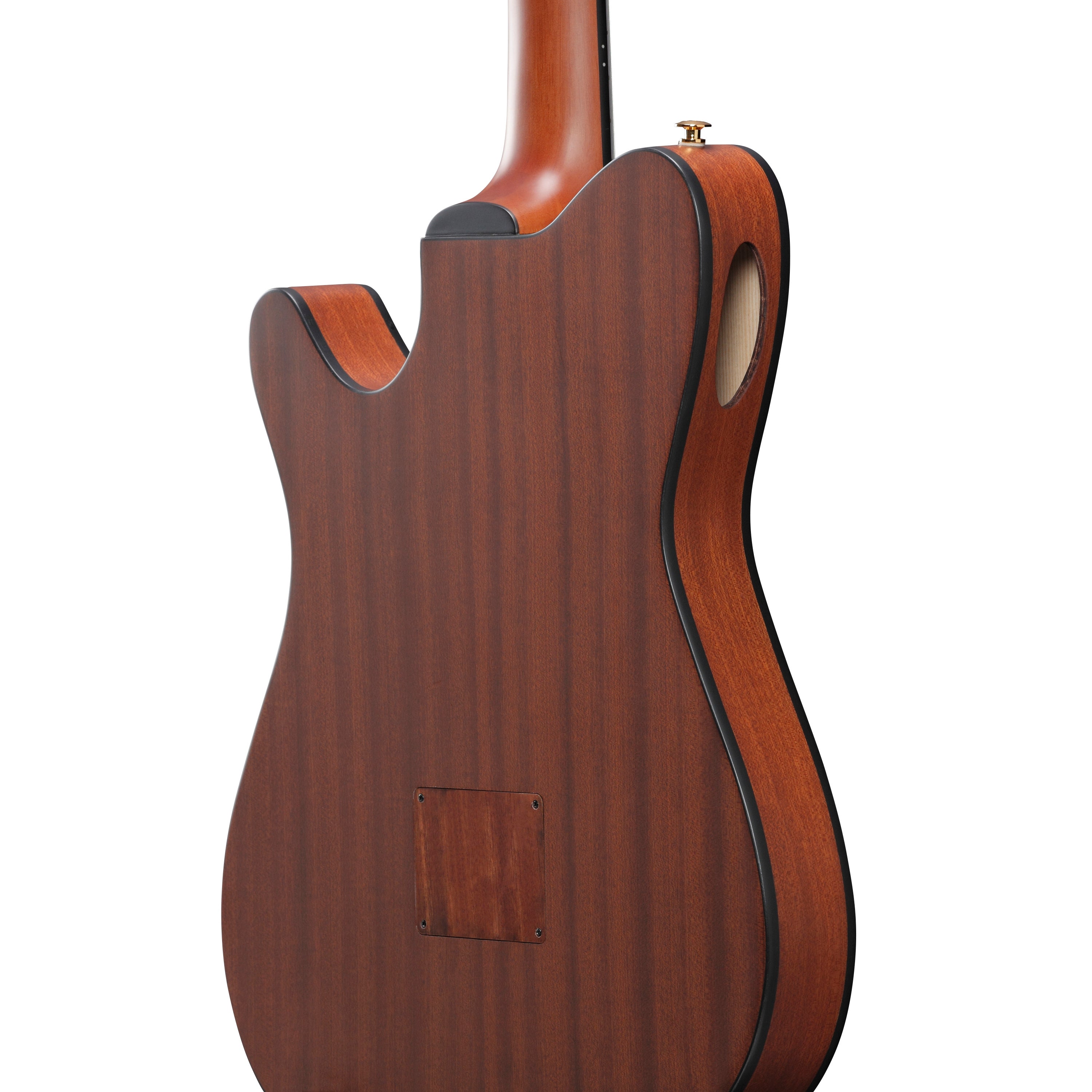 Ibanez FRH10N NTF Thinline 6-String Nylon Acoustic-Electric Guitar - Natural Flat