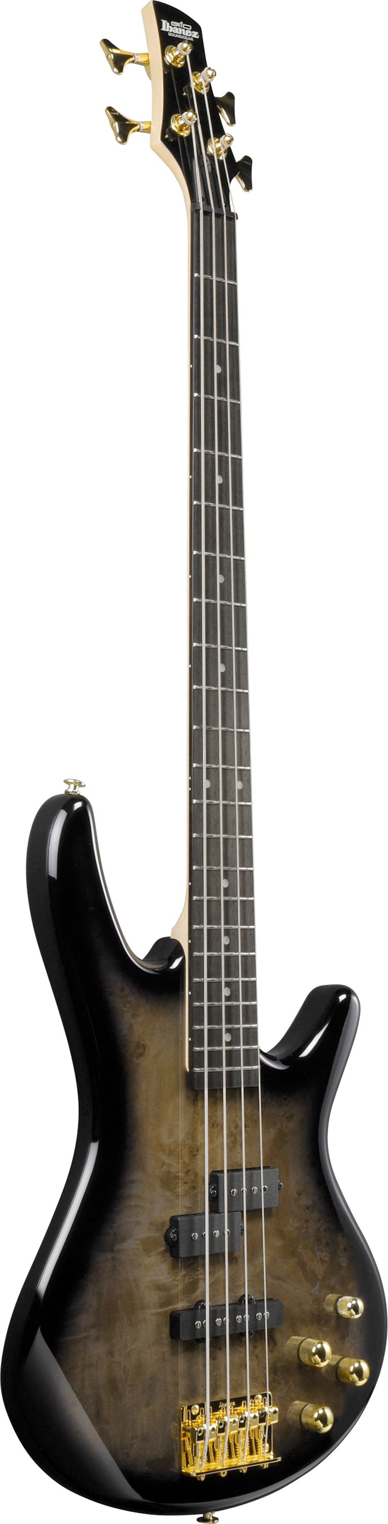 Ibanez Gio GSR200PC TPB 4-String Bass Guitar - Transparent