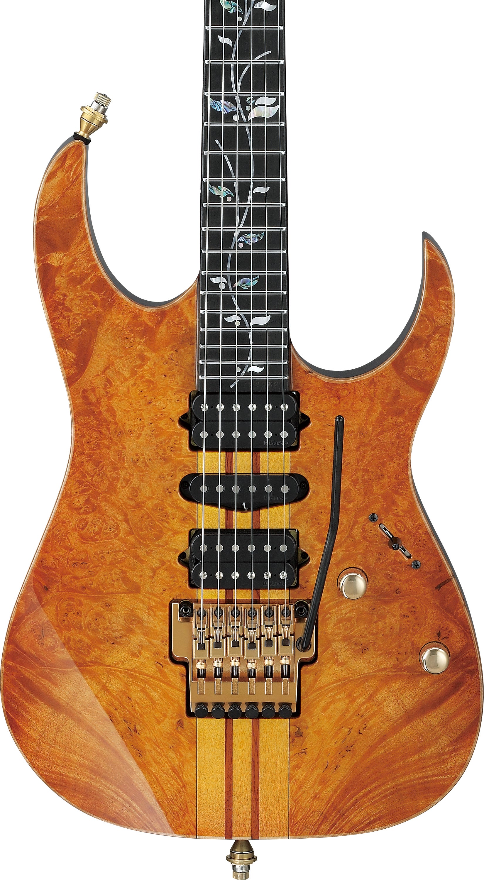 Ibanez Japan Custom Shop Visions IV1RG Electric Guitar - Amber