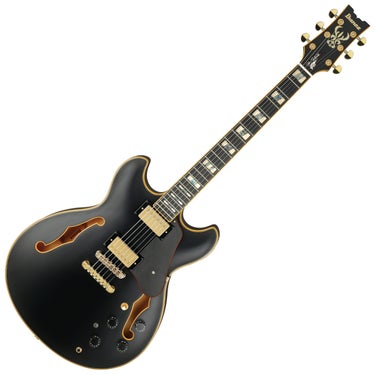 Ibanez John Scofield Signature JSM20 Semi-Hollow Electric Guitar - Black Low Gloss
