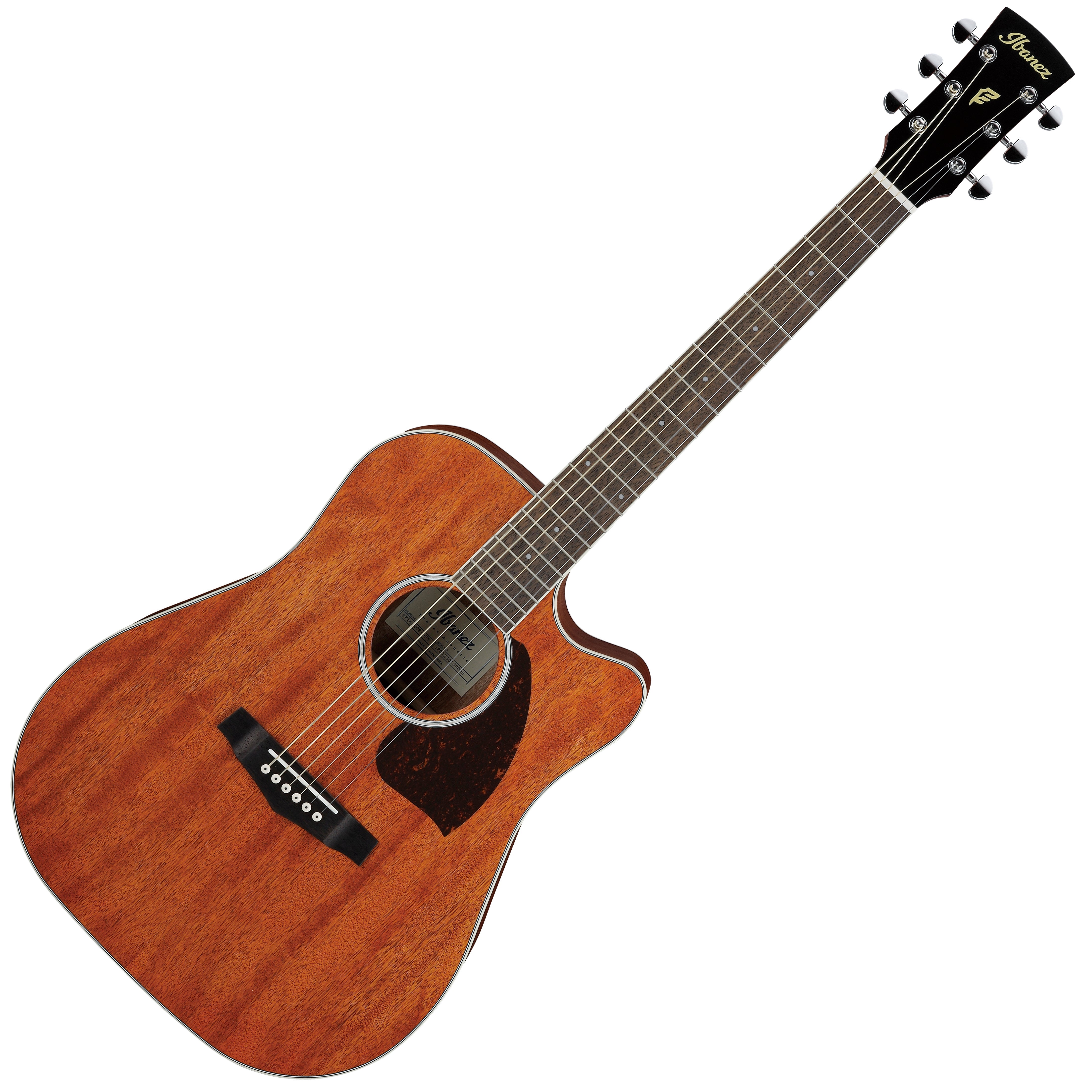 ibanez-pf16mwce-acoustic-