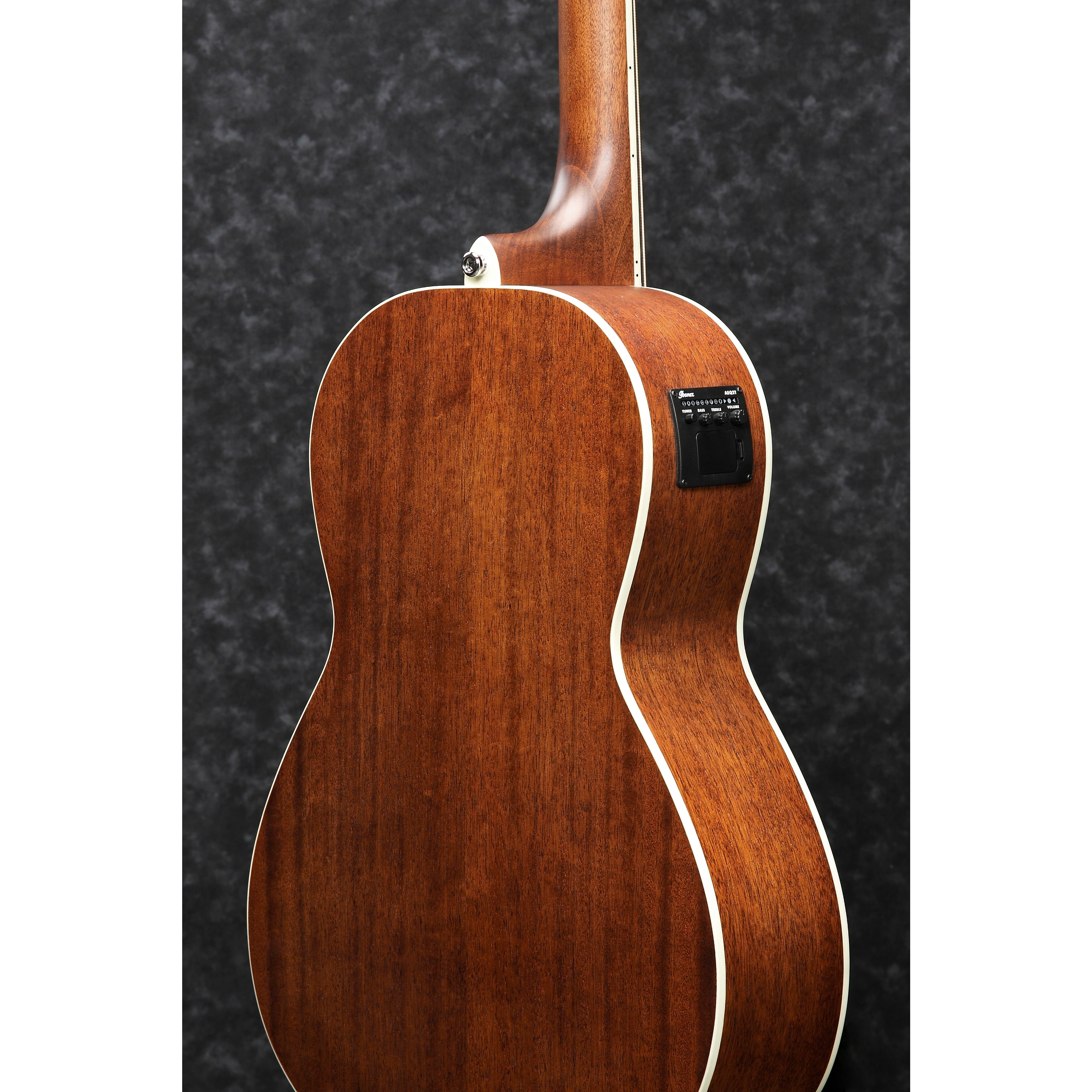 Ibanez PNB14E OPN 4 String Okoume Acoustic-Electric Bass Guitar 