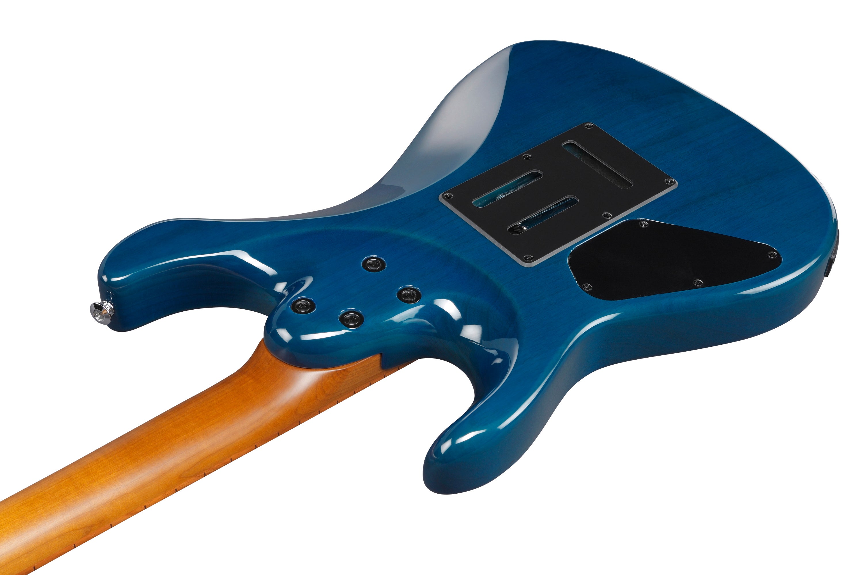Ibanez ウォーターボトル Ibanez ウォーターボトル