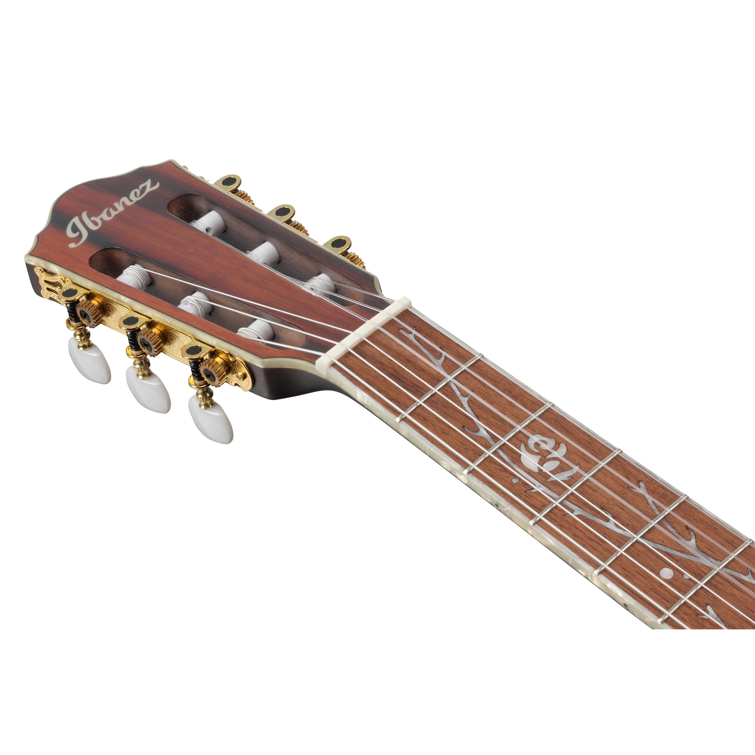Ibanez TOD10N TKF Tim Henson Signature 6-String Nylon Acoustic-Electric Guitar - Transparent Black Flat