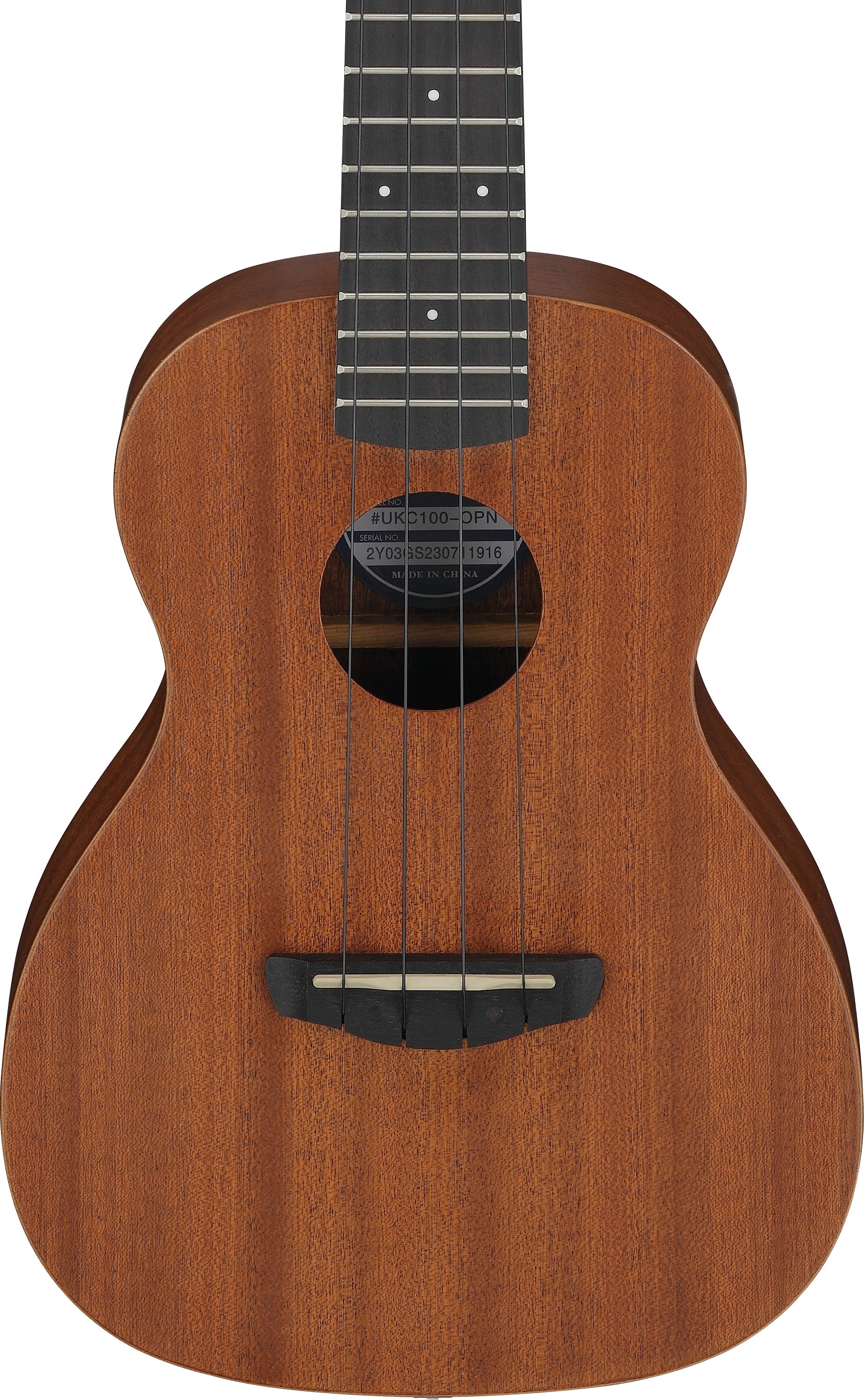 Ibanez UKC100 OPN Concert Ukulele - Open Pore Natural with