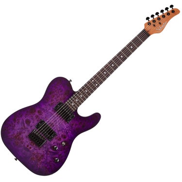 Schecter PT Standard Electric Guitar - Purple Burst Burl, 3956