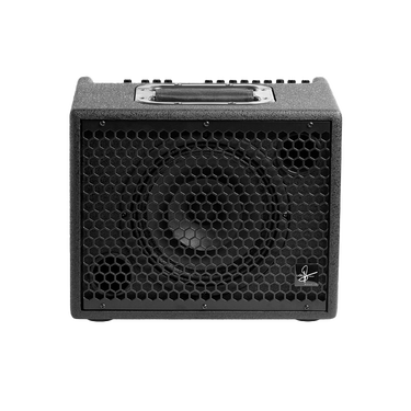 Udo Roesner Da Capo 75 - 75W Acoustic Guitar Amplifier 